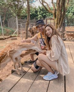 giá hươu gống hiện nay trên thị trường năm 2022