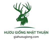 Trại Hươu Giống Nhật Thuận – Hương Sơn – Hà Tĩnh – Hotline: 0943.424.525 – 0968.424.525