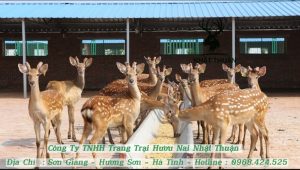 Cung cấp đầy đủ giấy tờ chứng nhận đã kiểm định