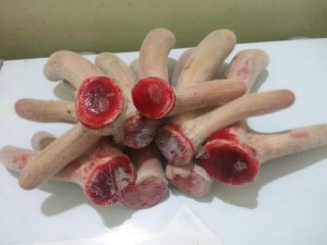 Nhật Thuận bán nhung hươu chất lượng cao