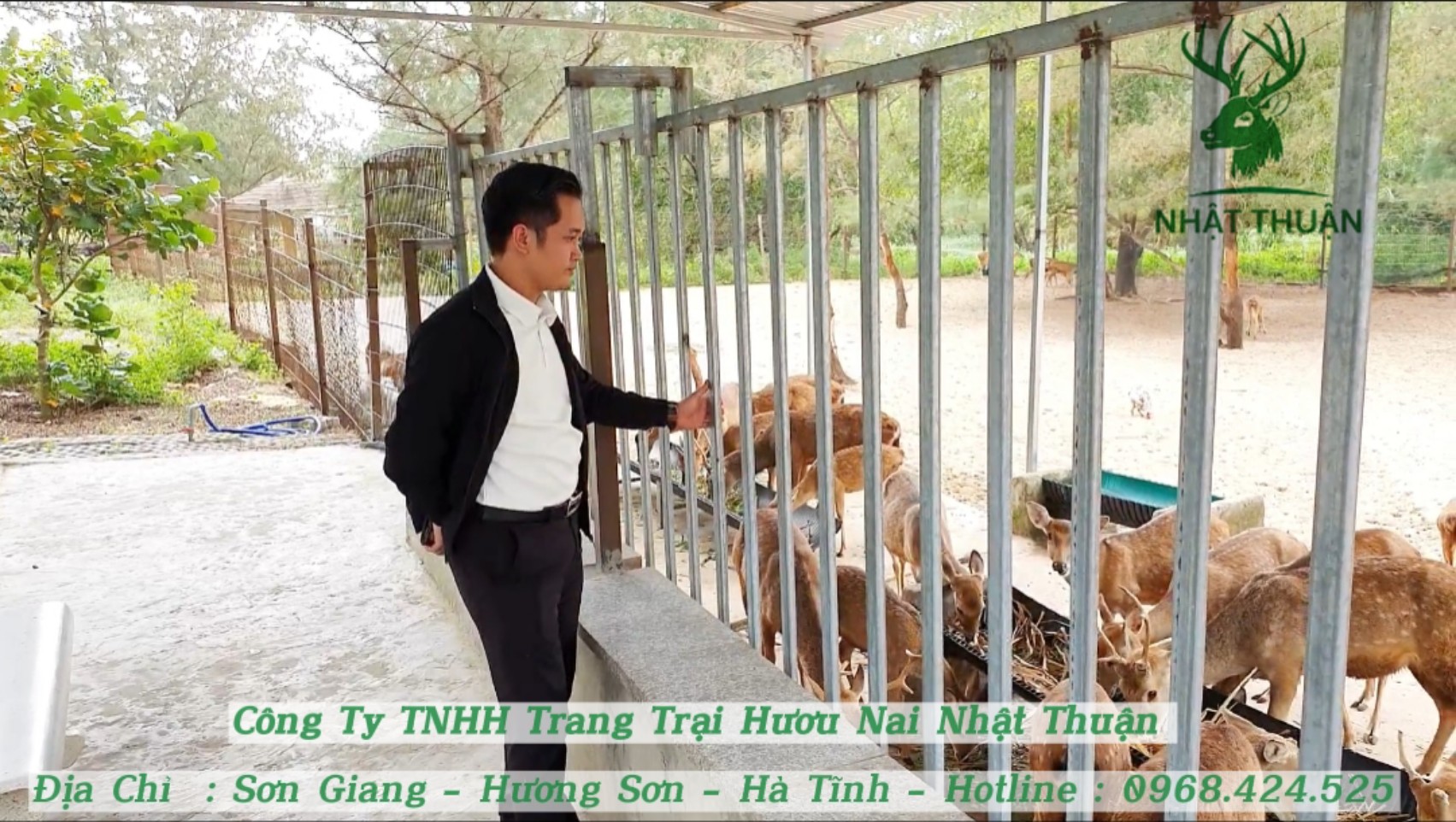Khi nuôi hươu nên làm chuồng trại hợp vệ sinh