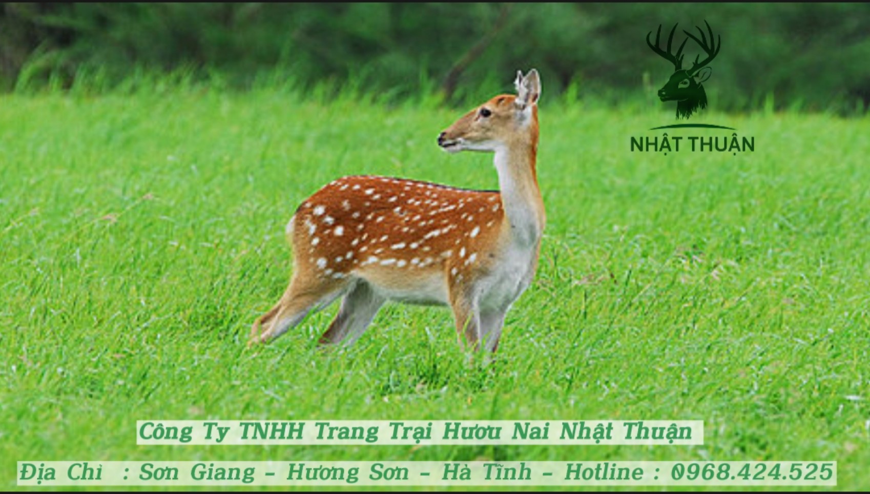 Thông tin về ngành chăn nuôi hươu và thú có lông hiện nay trên thế giới