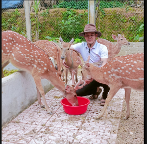 Hươu giống có sức khỏe tốt, ít tốn công và chi phí chăm sóc