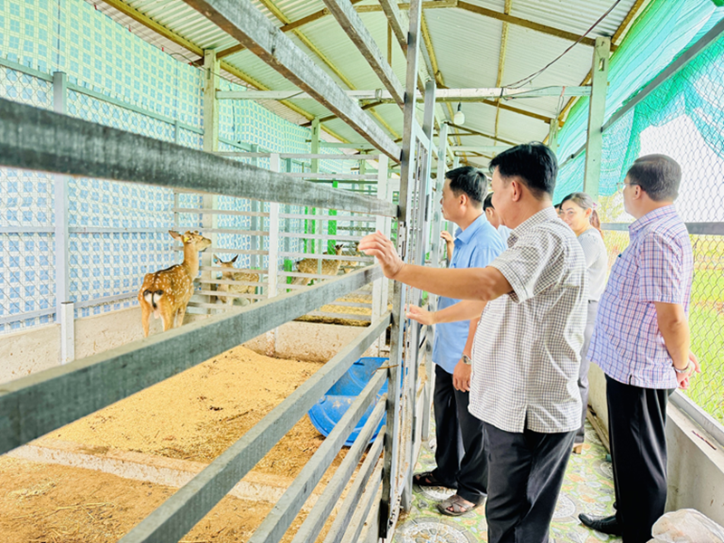 Nhân viên Nhật Thuận hướng dẫn bà con cách chăm sóc vật nuôi đúng kỹ thuật Nhân viên Nhật Thuận hướng dẫn bà con cách chăm sóc vật nuôi đúng kỹ thuật