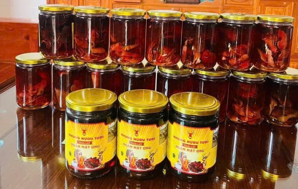 giá nhung hươu ngâm mật ong