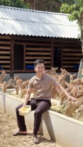 giá hươu giống nga 2025