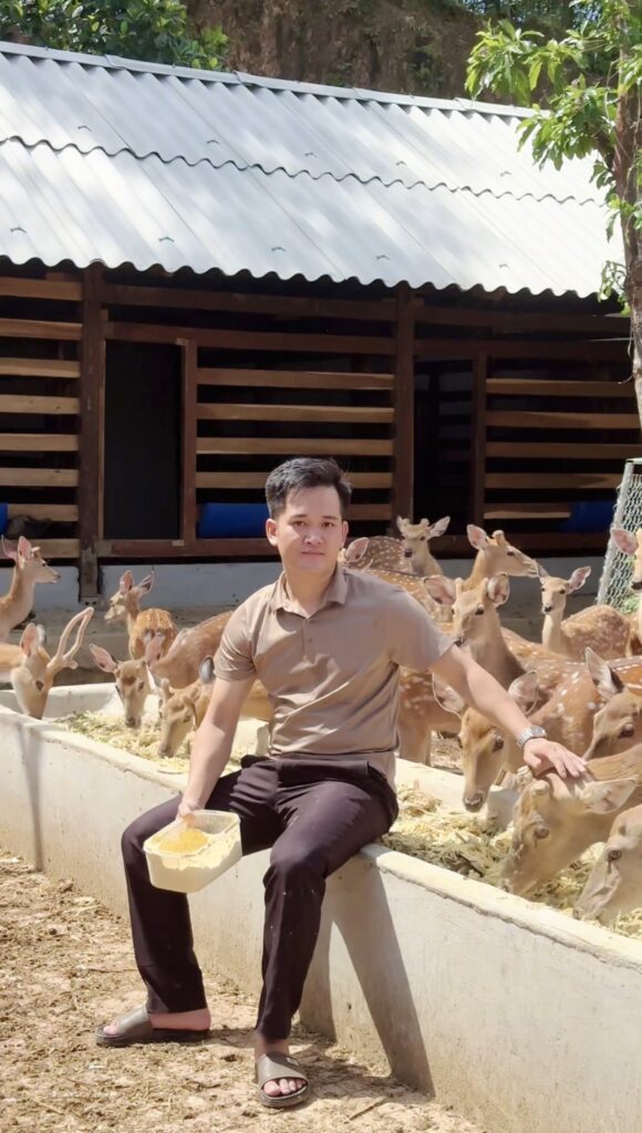 giá hươu giống nga 2025